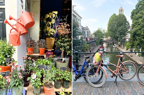Volop in 't groen bij Rood & Bloem Volop in 't groen bij Rood & Bloem